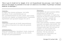 Charger l'image dans la galerie, TOUK le toucan & ses maracas