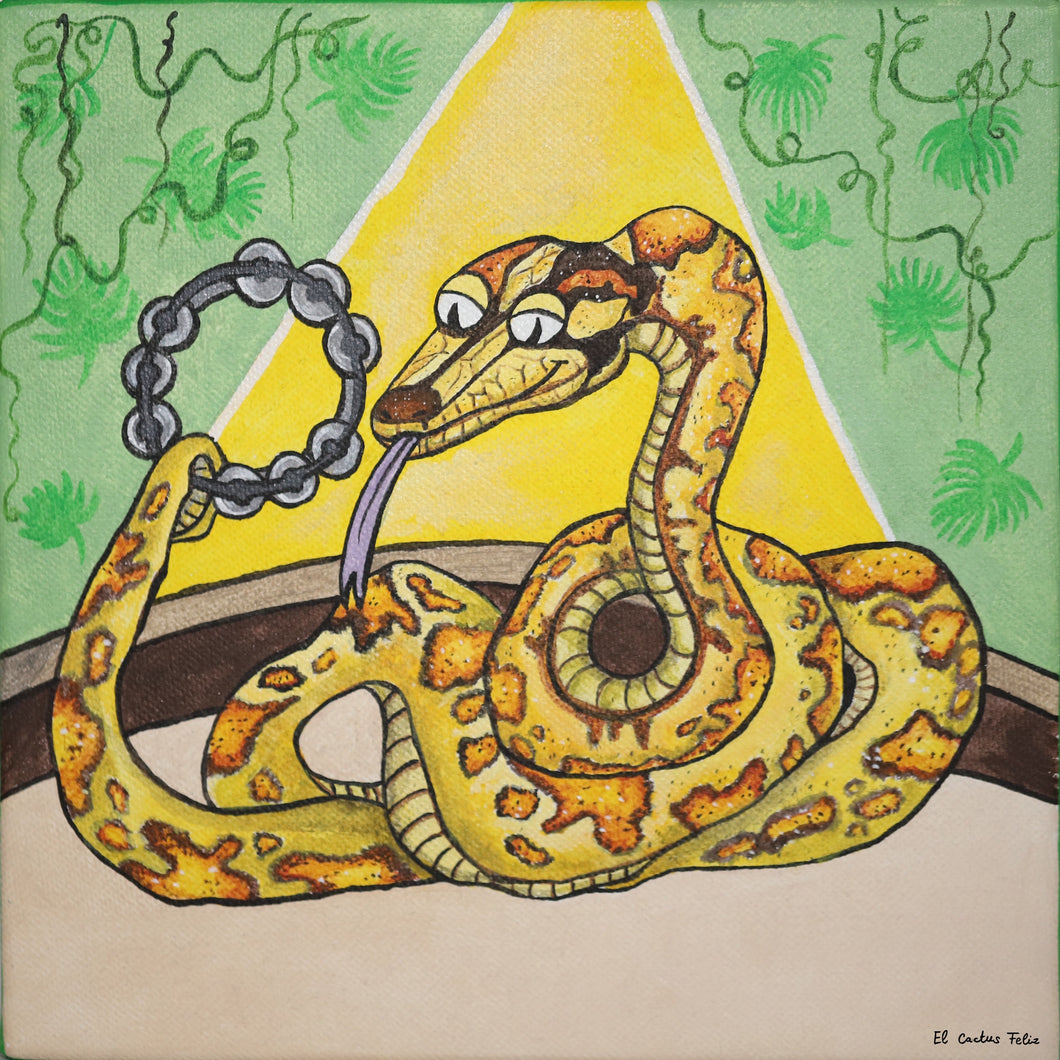 WANDA l'anaconda & son tambourin